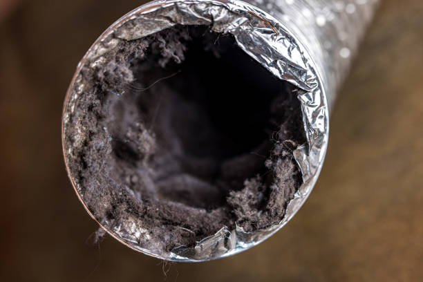 Best Local Air Duct Cleaning Services  in Bristol, IN